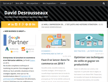 Tablet Screenshot of daviddesrousseaux.com